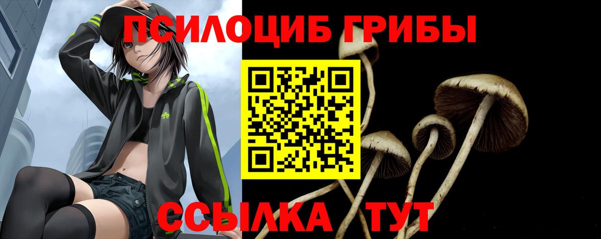 Псилоцибиновые грибы Psilocybine cubensis Протвино